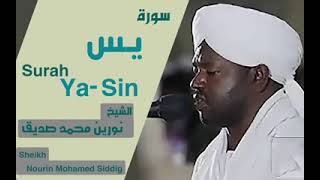 Surah Yasin || Heart Touching || Sheikh Noreen Muhammad Siddique