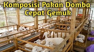 Ransum pakan untuk Kambing domba lokal mulai hijauan sampai konsentrat