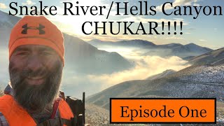 Snake River/Hells Canyon Chukar!!! pt.1