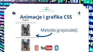 Zmiana koloru na czarno - biały. Metoda grayscale() | #73. CSS – filtry | CSS filters