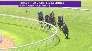 Hayek trials at Warwick Farm