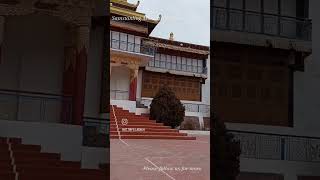 samstan Monastery Leh Ladakh India Nubra valley #lehladakh #nubra #ladakhtrip