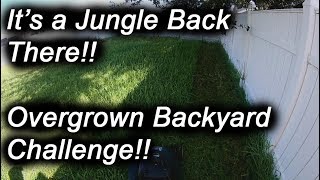 Overgrown Backyard Challenge!!