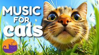 Relaxing Music for Cats - Used by Over 10 Million Cats