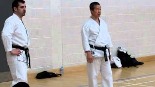 Kagawa-sensei demonstrates combination from kata heian nidan