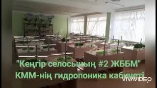 гидрапоника кабинеті