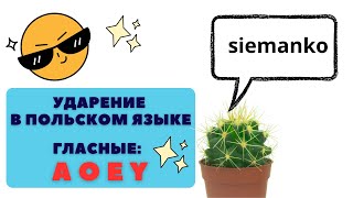 Польский язык с нуля. Урок 1 Ударение в польском языке. Гласные a, o,e , y