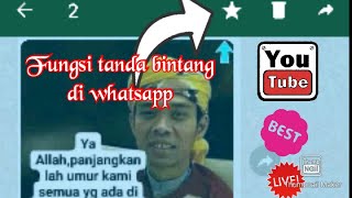 Fungsinya Tanda Bintang di whatsapp