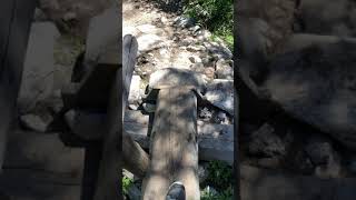 Browns Creek Trail -07/20