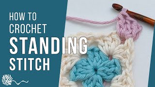 Standing Stitch | Neat Colour Change | Crochet Tutorial