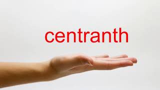 How to Pronounce centranth - American English