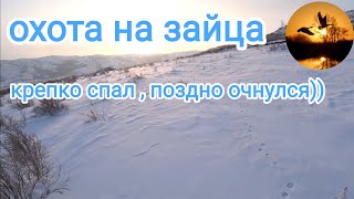 охота на зайца засоню