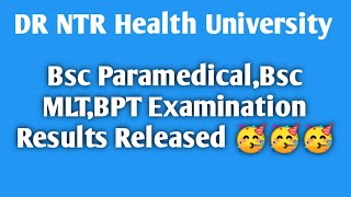 DR NTR University Bsc Paramedical,Bsc MLT,BPT Examination Results Released 🥳🥳🥳