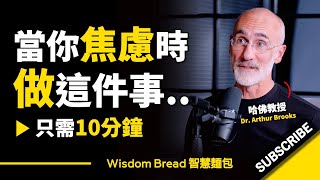 當你焦慮時，做這件事10分鐘.. ► 聽聽哈佛教授怎麼說 - Dr. Arthur Brooks 亞瑟．布魯克斯（中英字幕）