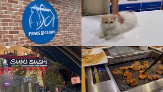 A VISIT TO LEO’s VET | PAWS N CLAWS | DINNER WITH FAMILY | KOREAN BBQ AT SUKI SUSHI