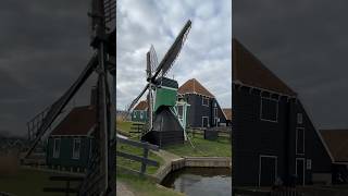 Windmills in Zaanse Schans, Netherlands 🇳🇱#netherlands #travel #travelvlog #sneakpeek #shorts