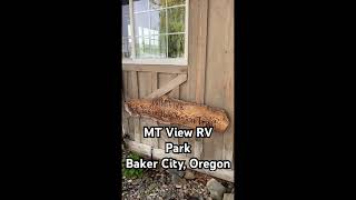 MT View RV Park, Baker City Oregon #bakercityoregon  #rvcamping   #rvpark #mtviewrvpark