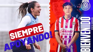 🚨 QUE OPINA EL CHIVAHERMANO BRASILEÑO SOBRE EL INICIO DE CHIVAS EL SÁBADO 🚨