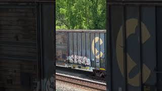 Old ConRail and Chessie System box cars!