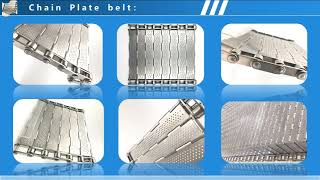 Chain Plate belt