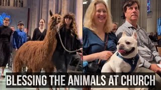 Blessing of the Animals at Church in NewYork City