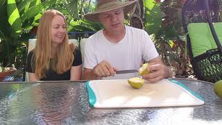 Seedling White Sapote - oops, not Smathers