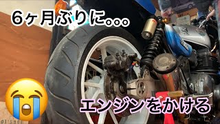 MFP【6ヶ月ぶりにバイクのエンジンをかける】#KAWASAKI#MAD MAX#カワサキ