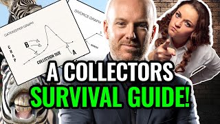 Zebra Camouflage: A Collectors Survival Guide