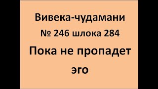 ВивекаЧудамани курс Свамини Видьянанды Сарасвати 246 шлока 284 Пока не пропадет эго