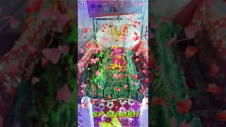 Dada Madar Sarkar__Whatsapp_Stedus__Video -Teri Rehmaton Ka Dariya