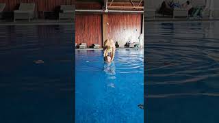 On the wave #fail #funny #acrobatics #calisthenics #challenge #fitness #pool