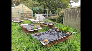 How to plan vegetable seeds to stop the rain washing them away