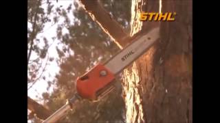 Высокорез Stihl   HT 101 в работе!