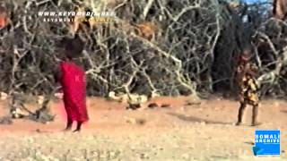 The Camel -- The pride of the Somalis | Afbarwaqo District, Mudug - Somalia 1992