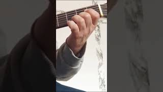 🎸 Circle of Life Guitar Short 🎸