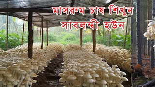 মাশরুম চাষ করা শিখুন সাবলম্বী হউন - দেশের পুষ্টি চাহিদা পুরণে সহায়তা করুন