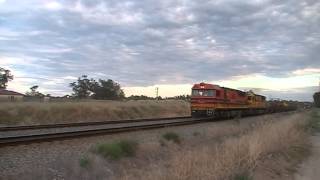 Q4005/Q4002 on 6426 Kalgoorlie Freighter at Hazelmere