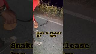 Snake ko release kar diya/Snake release/Snake ko chhod diya/#Shorts/King cobra Snake/#viral/Reaction