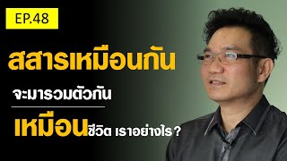 สสารเหมือนกันจะมารวมตัวกัน เหมือนชีวิตเราอย่างไร!?| Positive Attitude EP.48