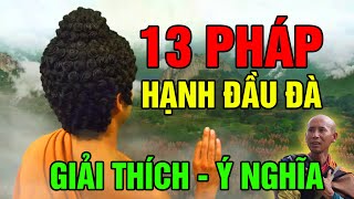 13 Pháp Hạnh Đầu Đà Mà Sư Minh Tuệ Học - Con Đường Tu Hành Giải Thoát