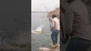 Big Size Rohu Fish Catchup// बहुत बढी आकार की रूम मच्छी पकडा भाई ने 🙆‍♂️🙆‍♂️😮😮