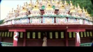 Tibetan Song | Tibet's Sonam | Tsewang Lhamo