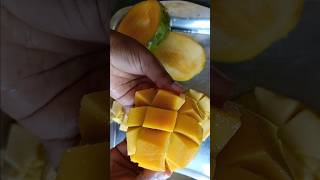 mango 🥭 shake #mangoshakelovers #shorts #viralshorts #kingoffruit #mangoshake #mango #minivlog