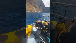 Buceo en Madeira Día 2 #buceo #submarinismo