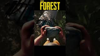 The Forest plane glitch on stream!!