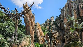 Animal Kingdom - August 2024