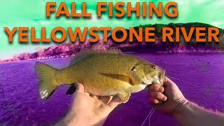 FALL FISHING The YELLOWSTONE RIVER - MONTANA