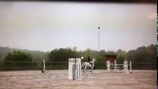 99 – sale show jumping– grey gelding _ hannover - 2004 _ competition 150 cm