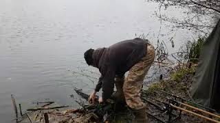 Autumn carp fishing