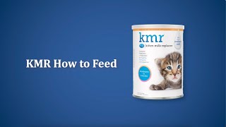 How to Feed Newborn Kittens | Pet-Ag KMR